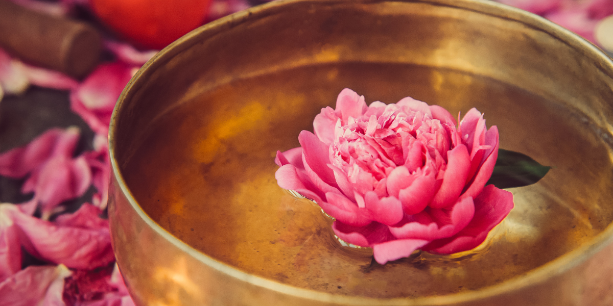 Open your Heart and Sacral Chakras – a private, full sensory experience for couples and singles