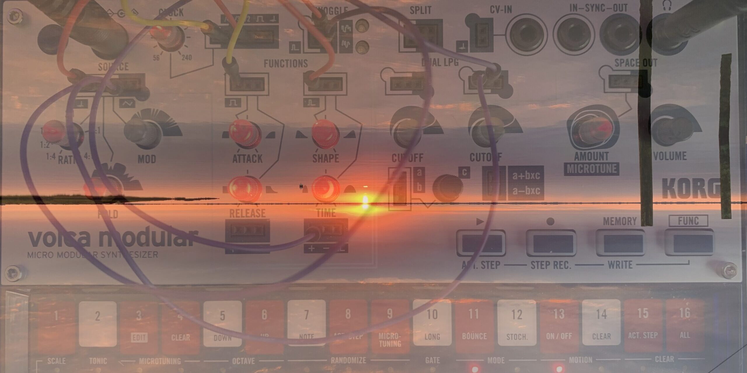 Healing in The Field with Té