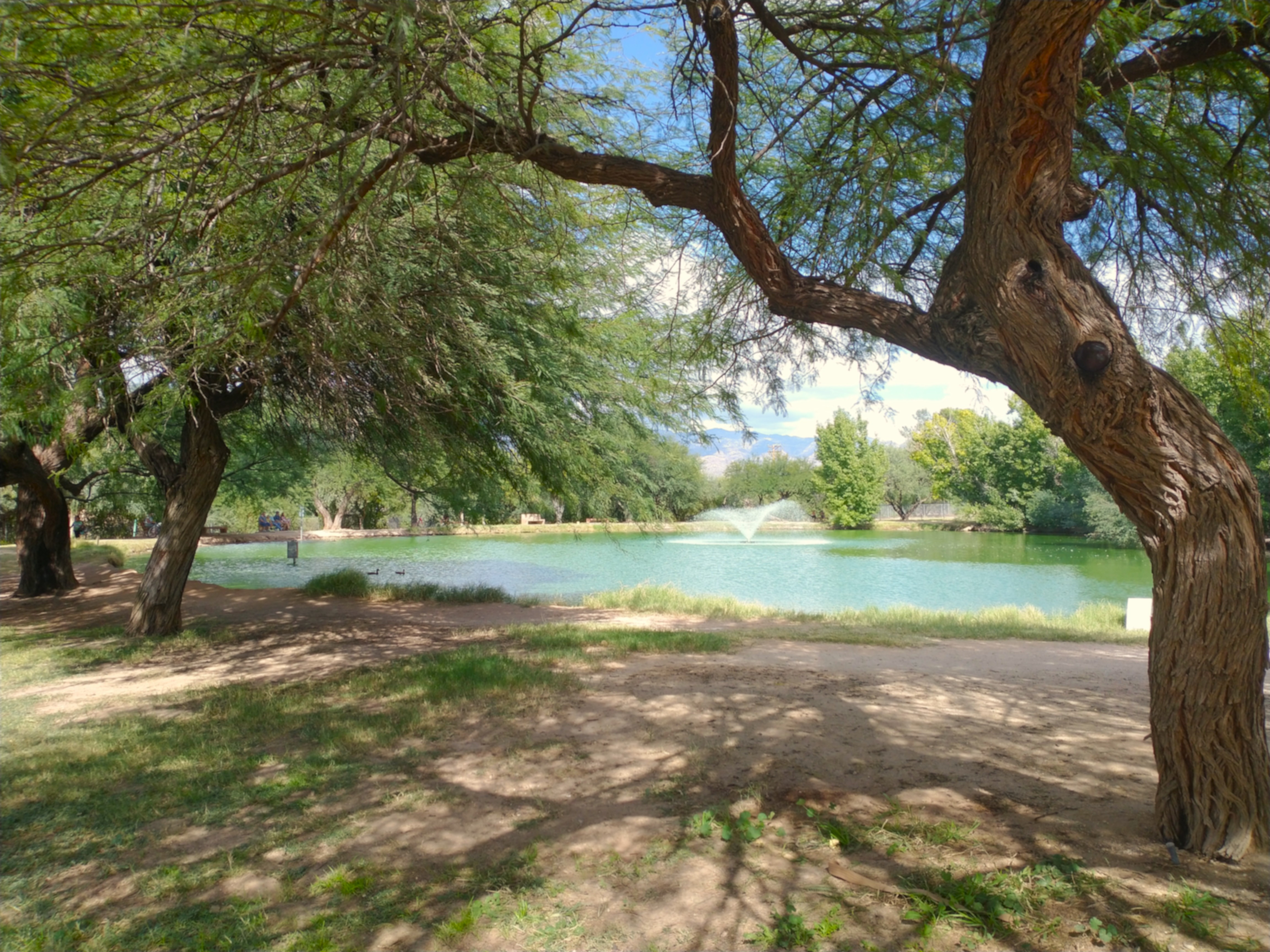 Peace Sound Bath Celebration, World Sound Healing Day